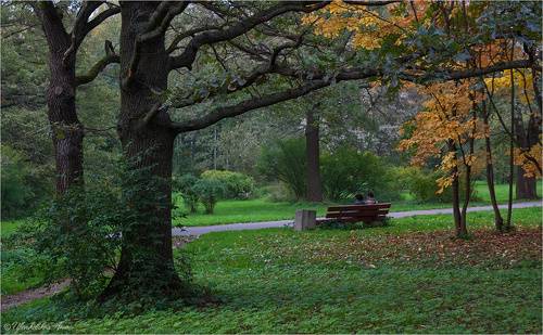 Осенняя идиллия