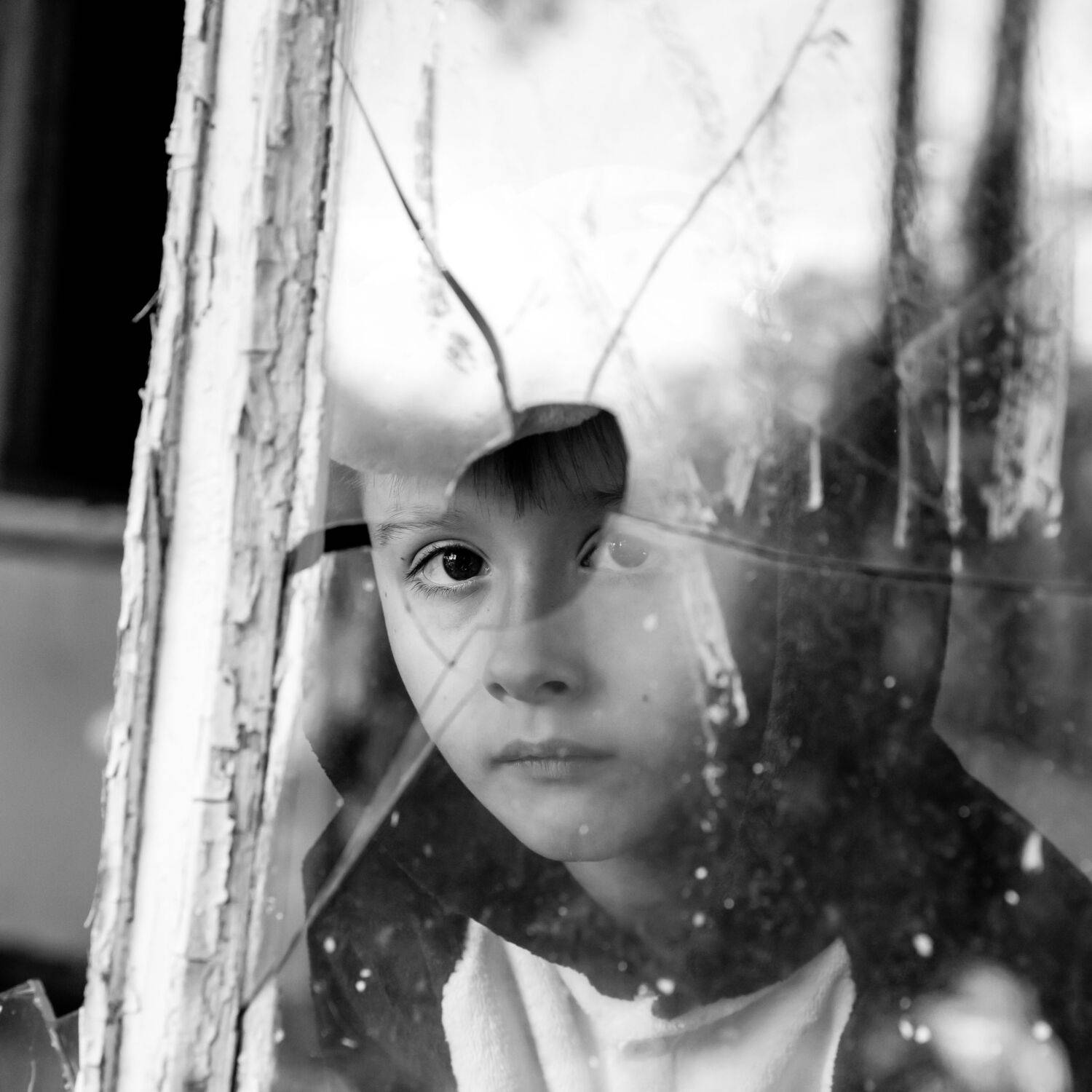 , Alexander Shilov