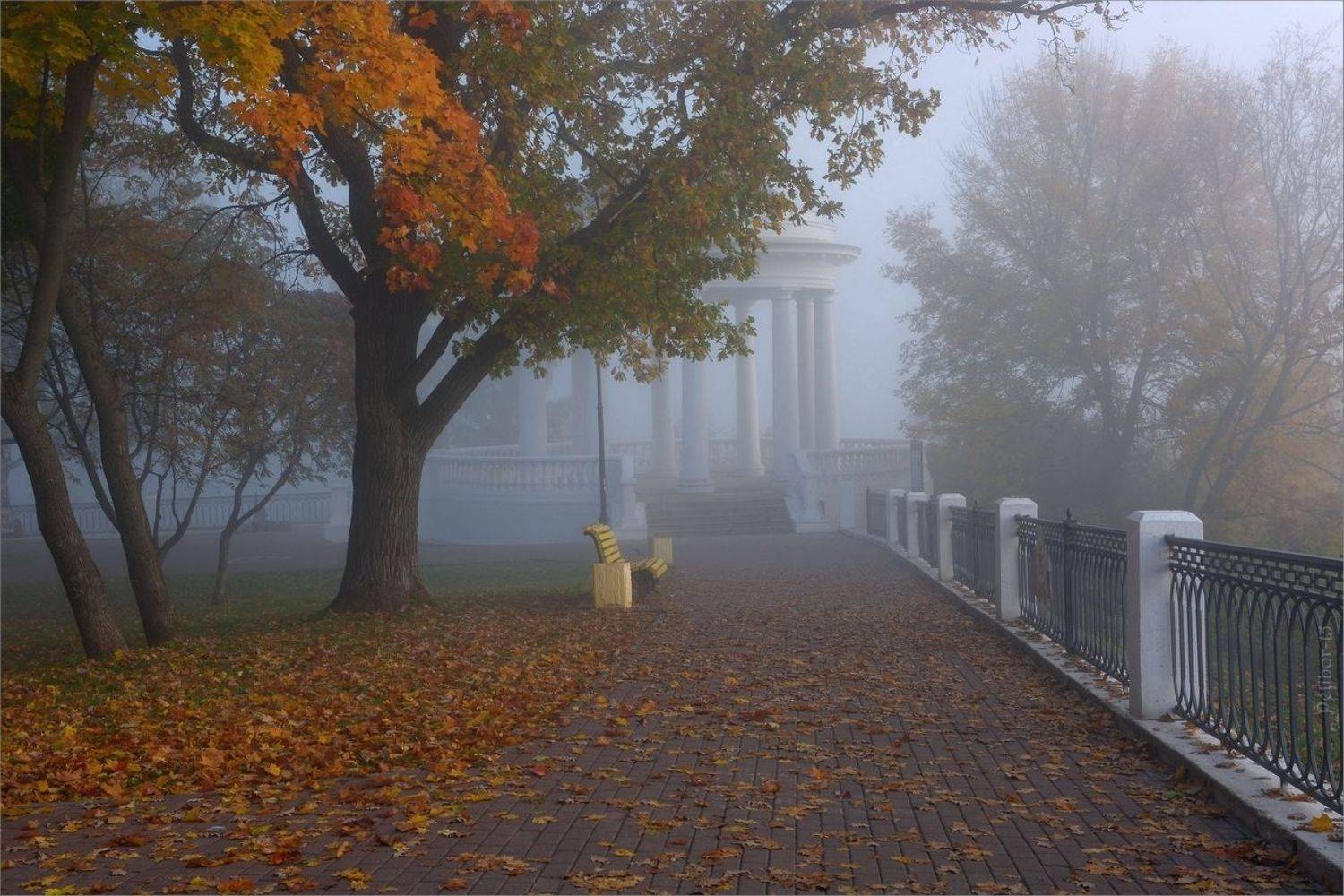 осень, утро, рассвет, сад, александровский, туман, листва, Петров Игорь