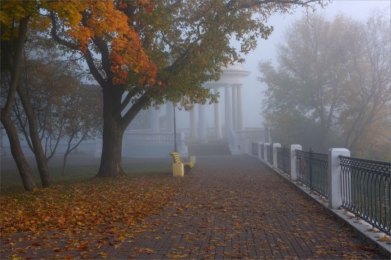 осень, утро, рассвет, сад, александровский, туман, листва Осень в Александровском фото превью