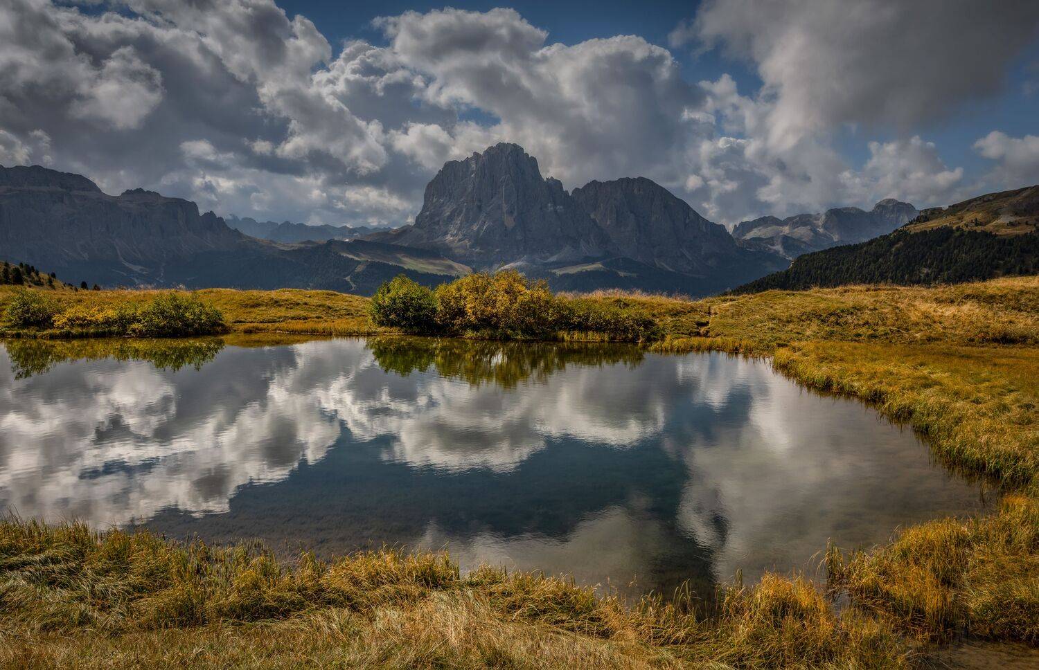 , Безмолитвенный Александр