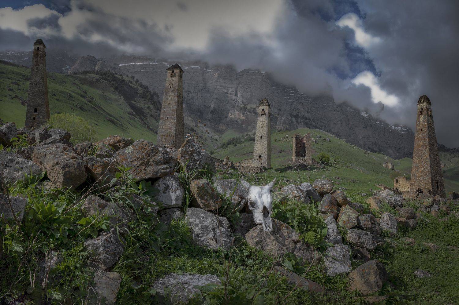 Ингушетия, Гусева Елена