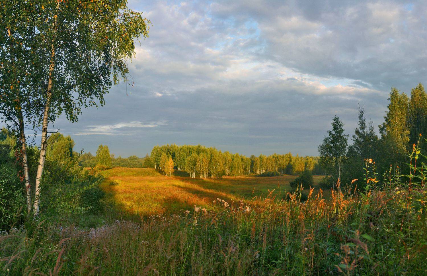осень, Александр Свистков