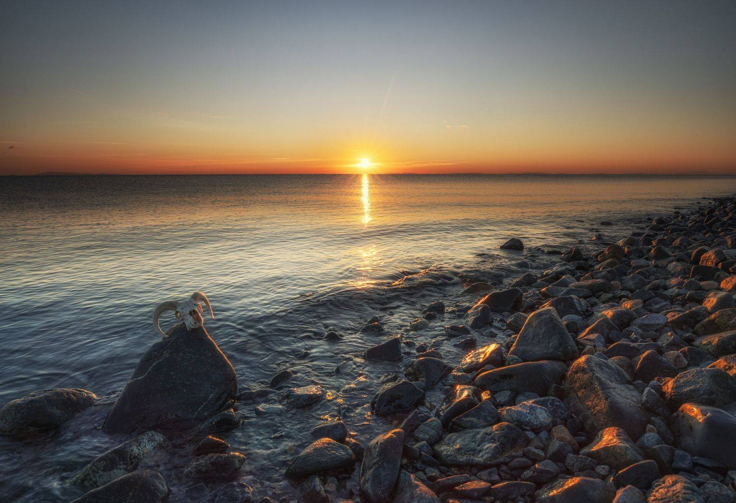 , Костадин Маджаров