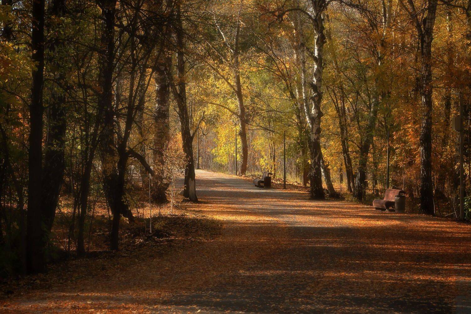 , Евгений Зинов