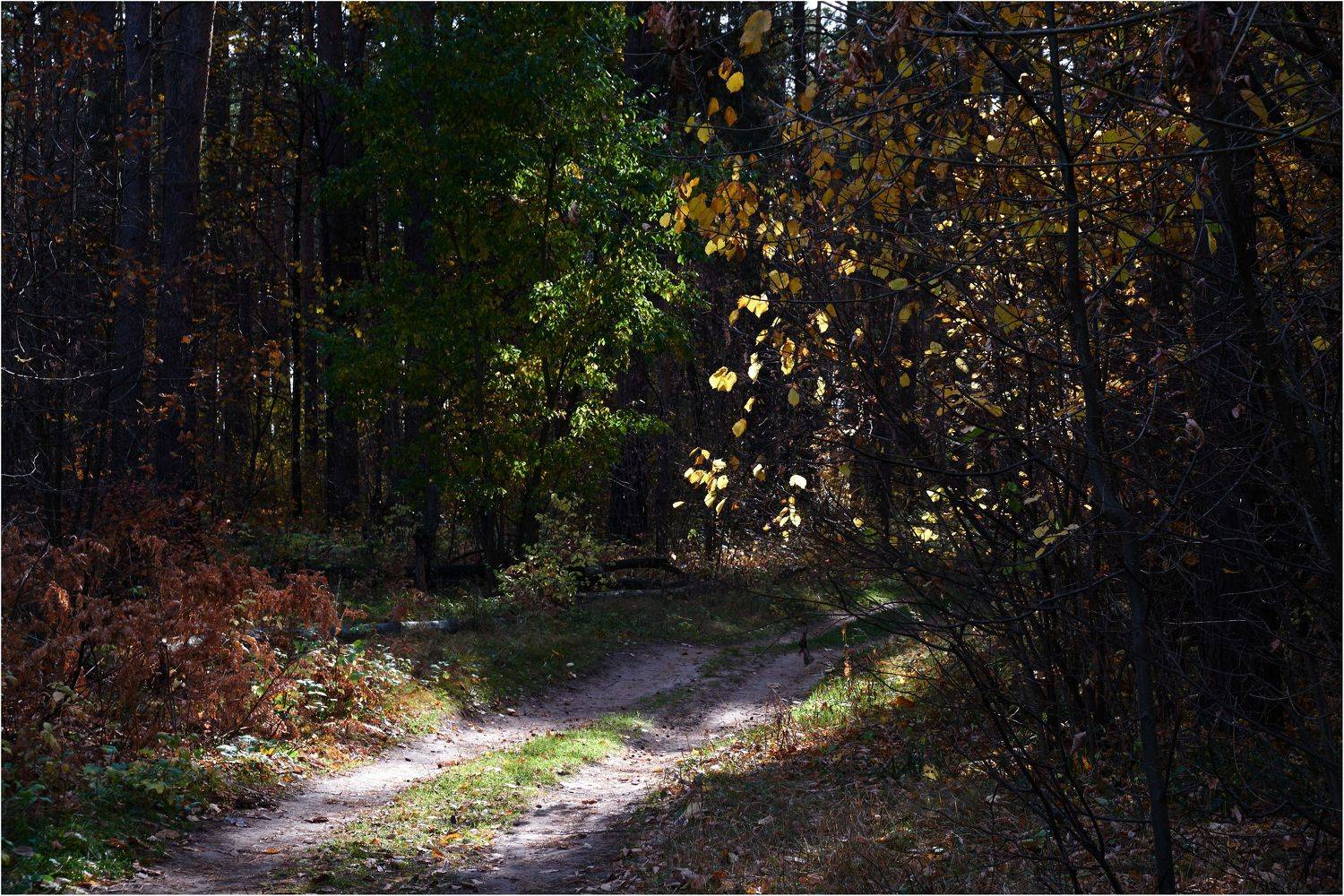 , Владимир Краснов