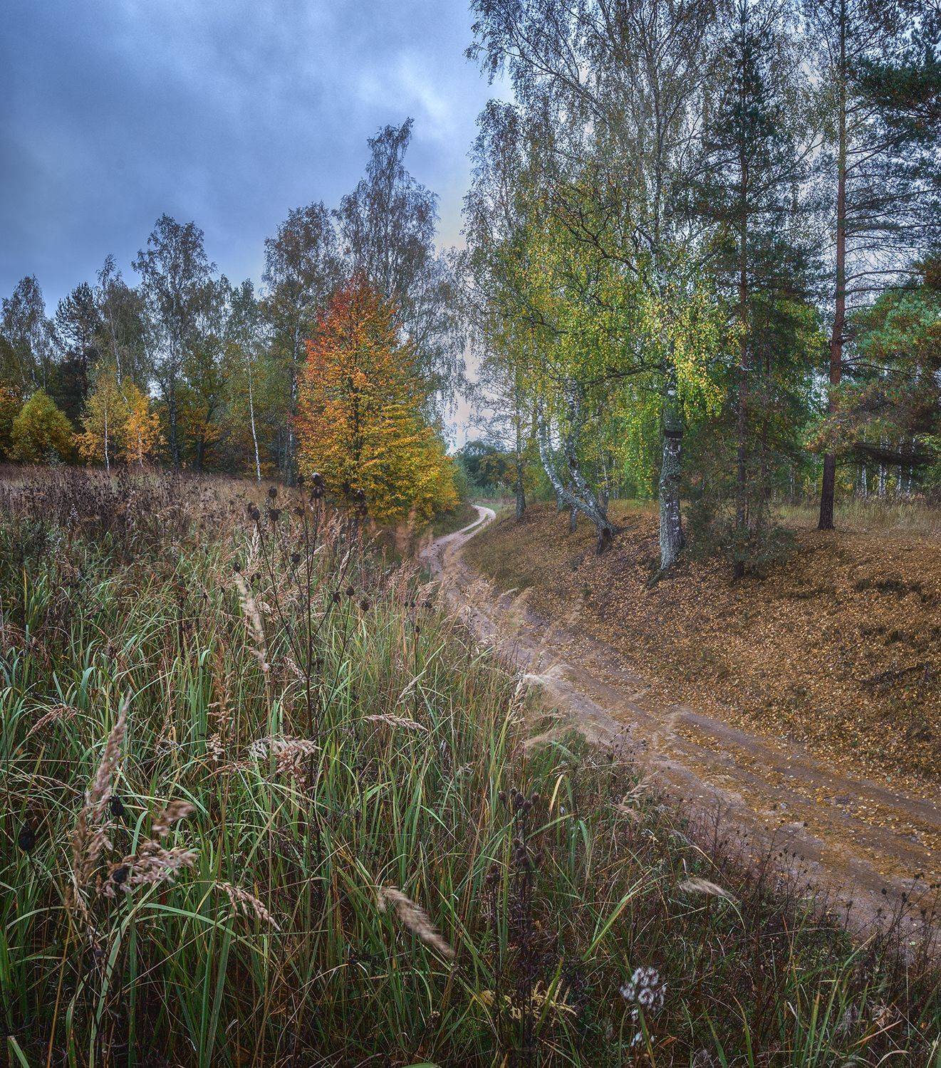 , Николай Андреев