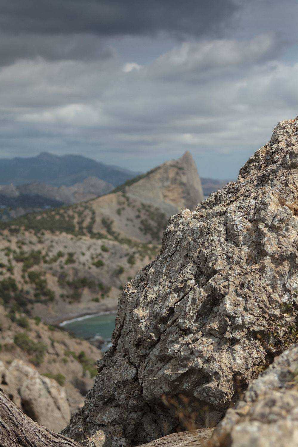 , Светлана Холодняк