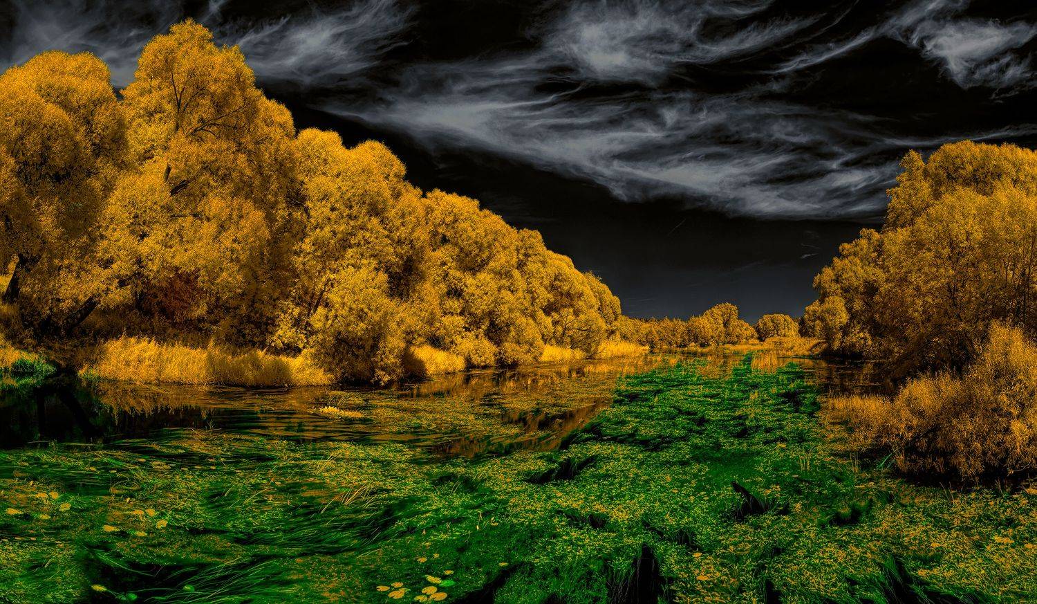 infrared,ик-фото,инфракрасное фото, инфракрасная фотография, пейзаж, лето,  Sixten (Сергей)