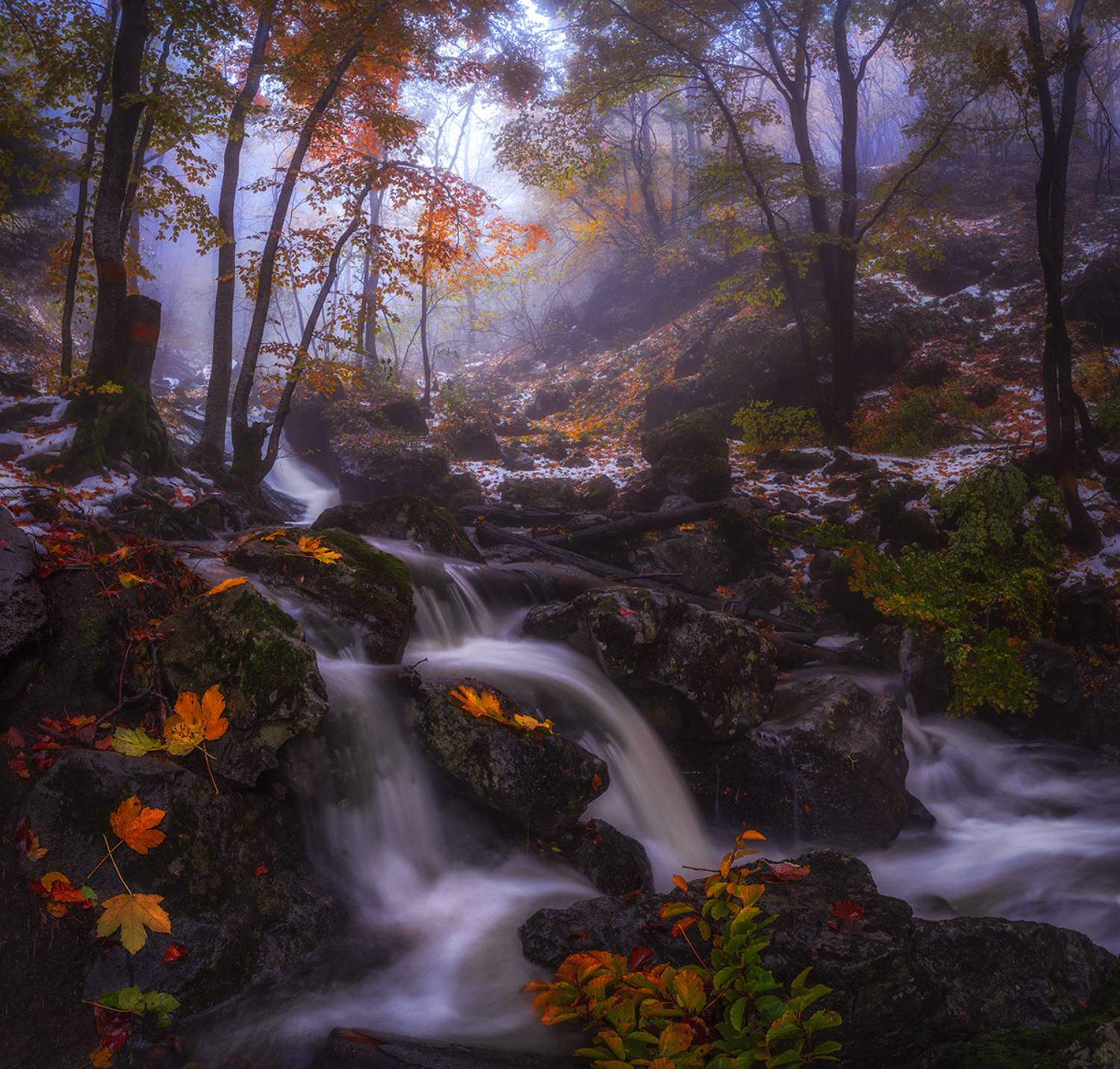landscape nature scenery forest wood autumn mist misty fog foggy river colors leaves mountain vitosha bulgaria лес, Александър Александров