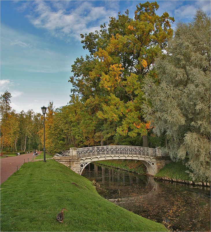 *** фото превью