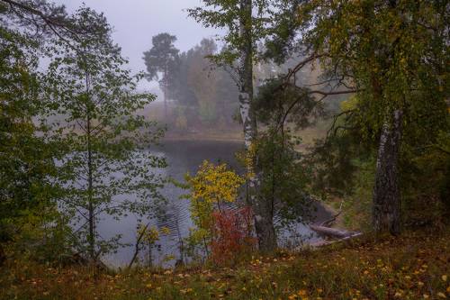 Пасмурное утро