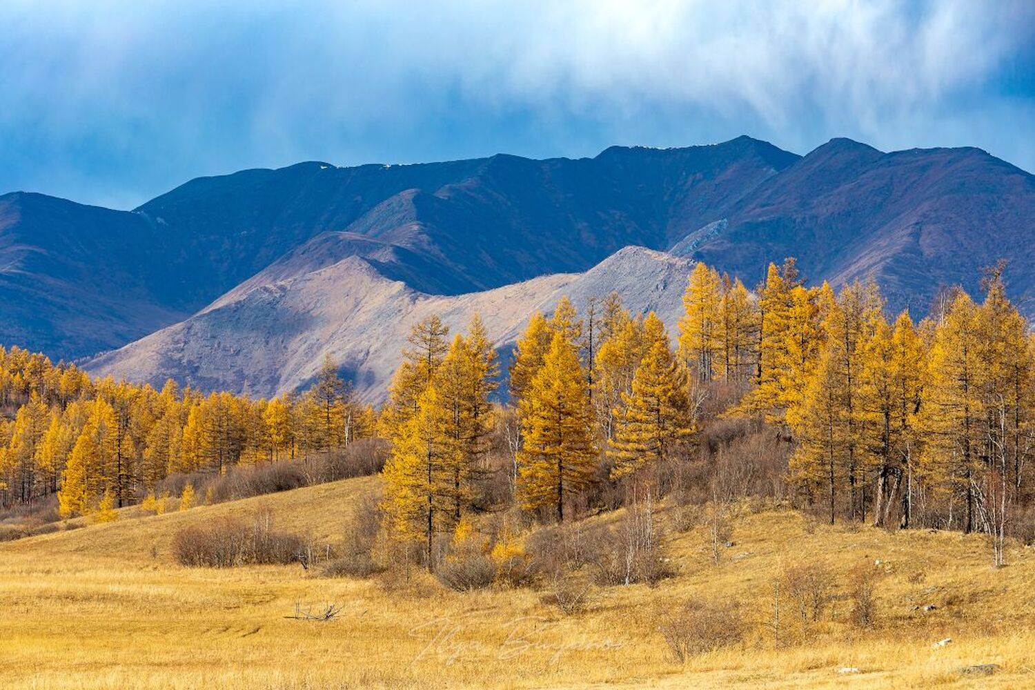 , Буянов Илья