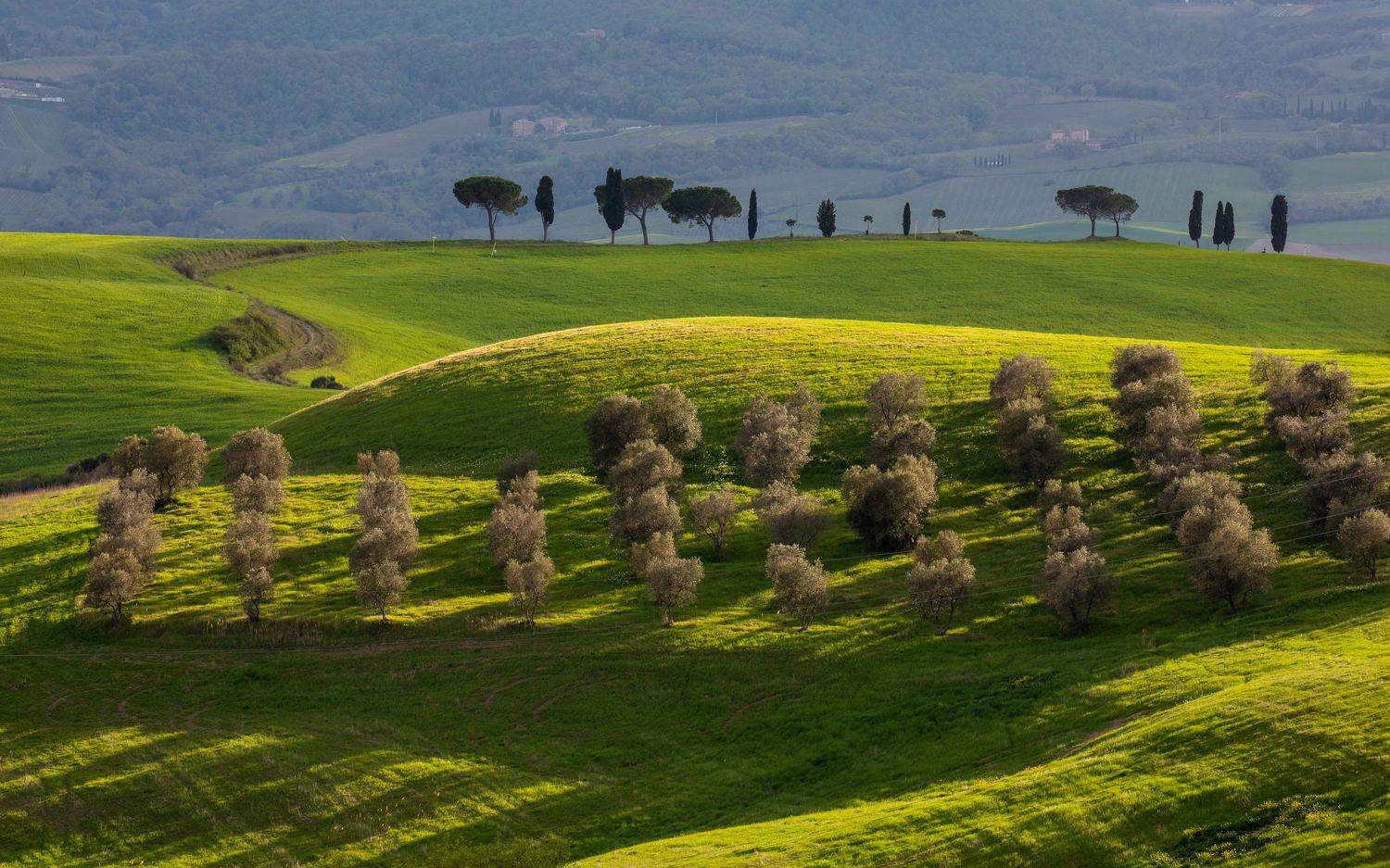 , Евгения Чех