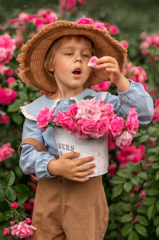 дети, детская фотография, дети и цветы, мальчик, семейная фотография В саду роз фото превью