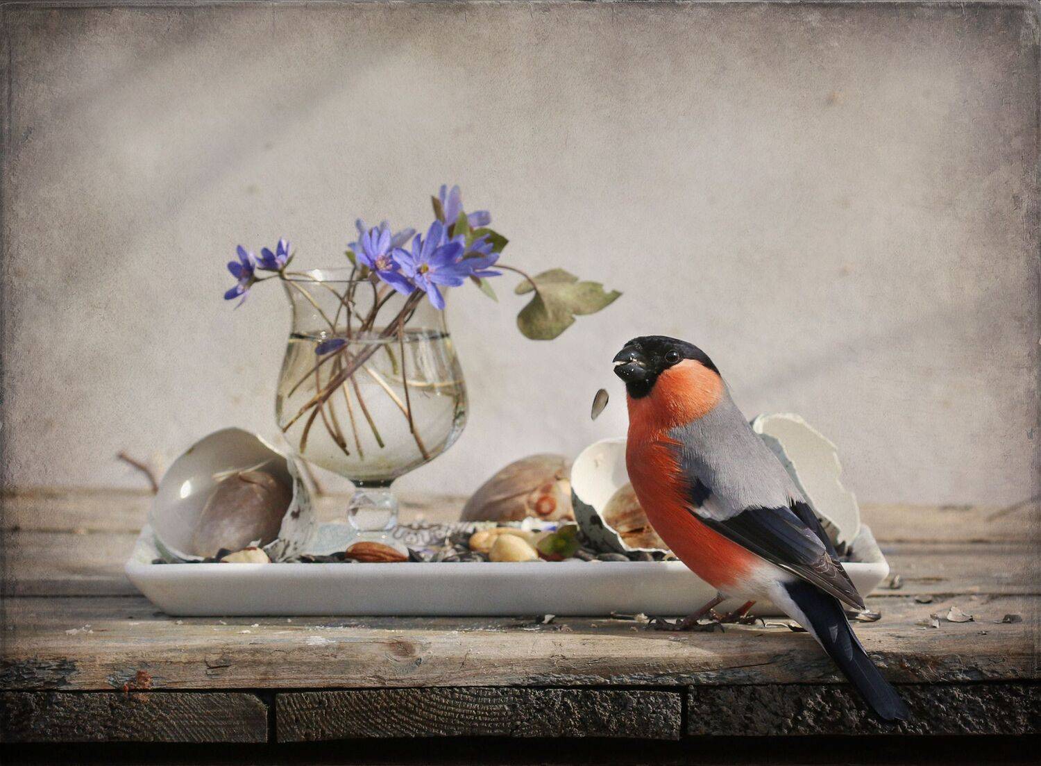 снегирь, Хромушин Олег