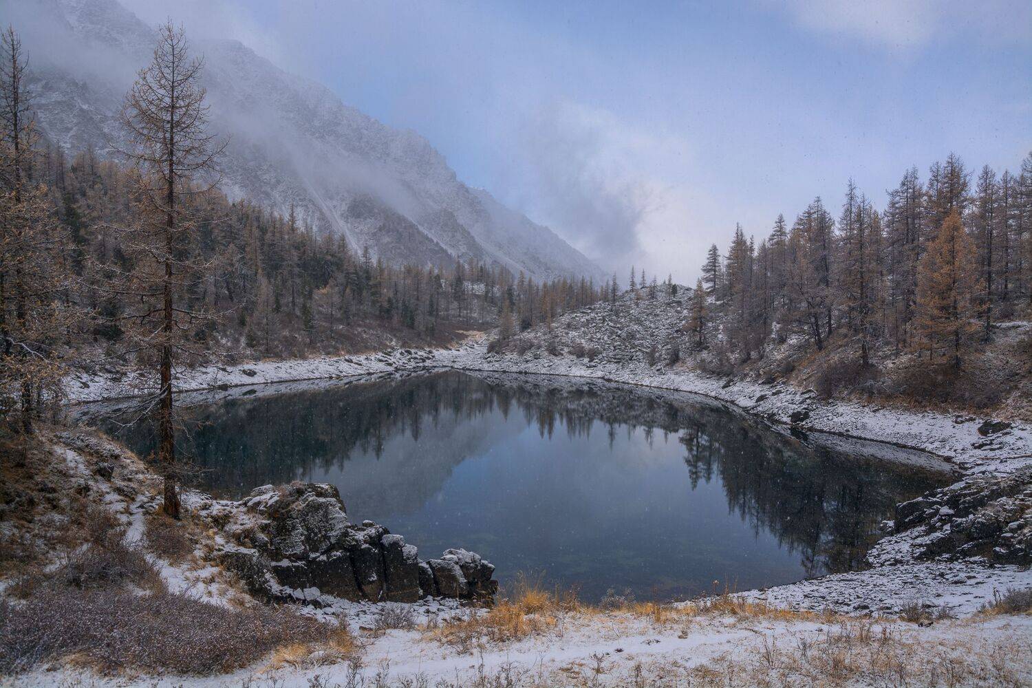 россия, горный алтай,осень,снег, Андрей Поляков