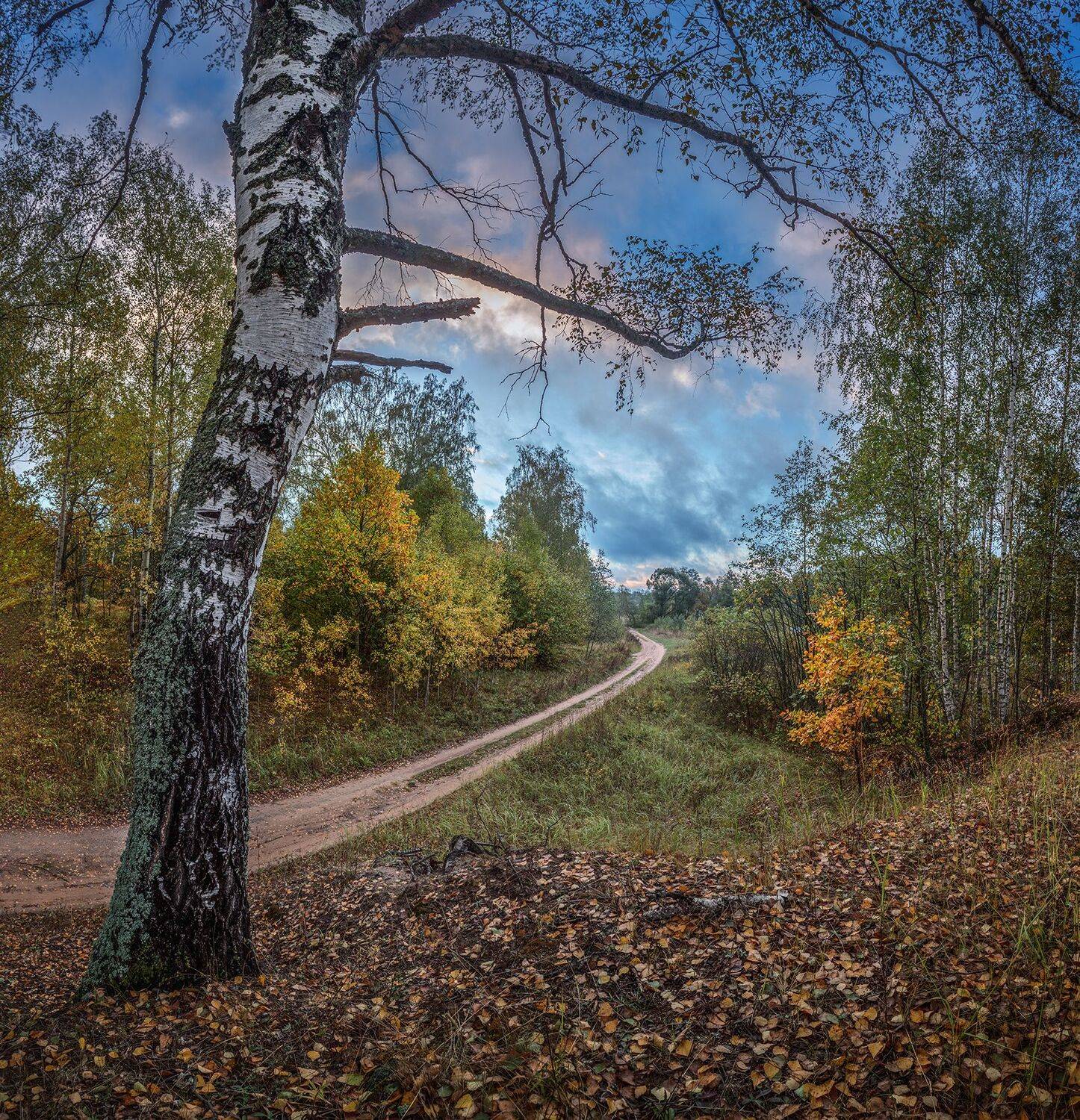 , Николай Андреев