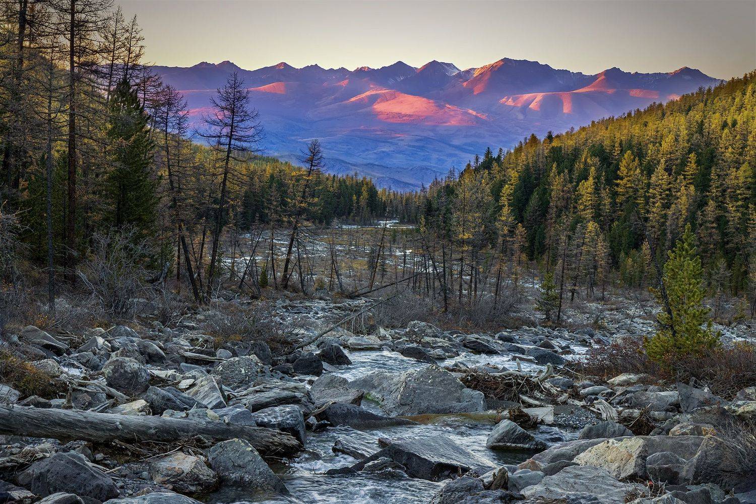 , Морозов Сергей