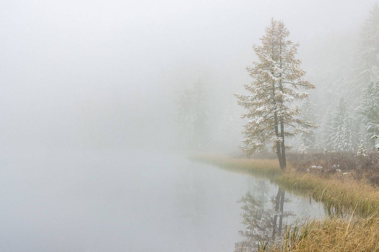 , Морозов Сергей