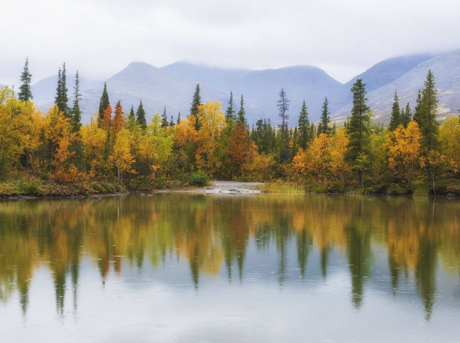 , Светлана Краюшкина