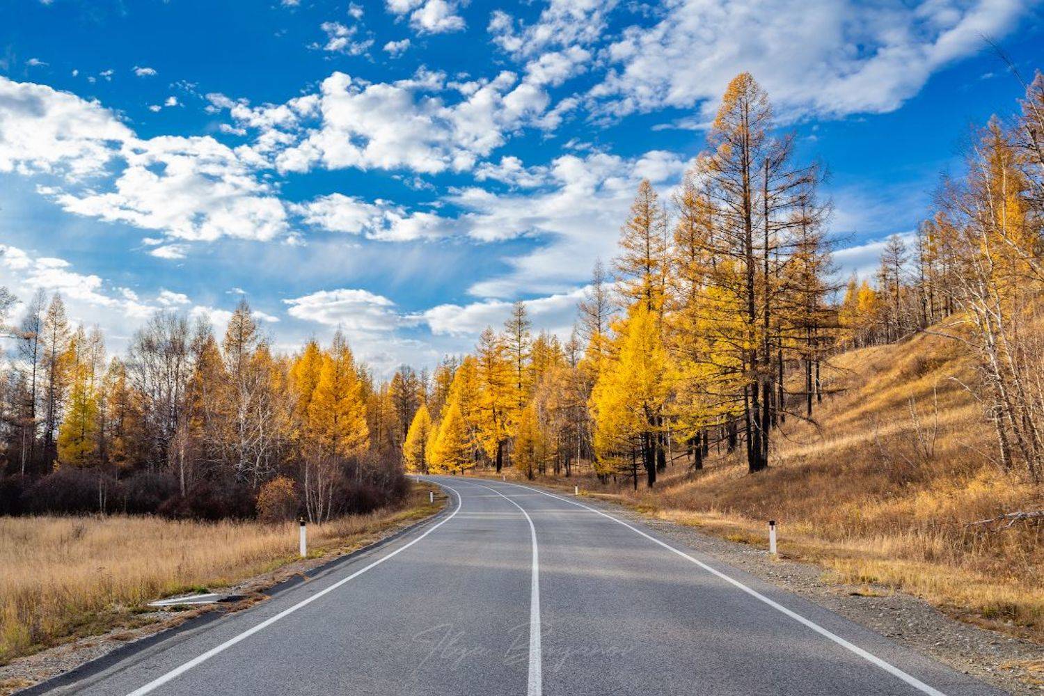 , Буянов Илья