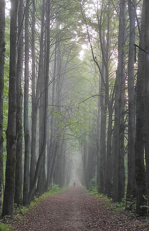 Унылая пора... фото превью
