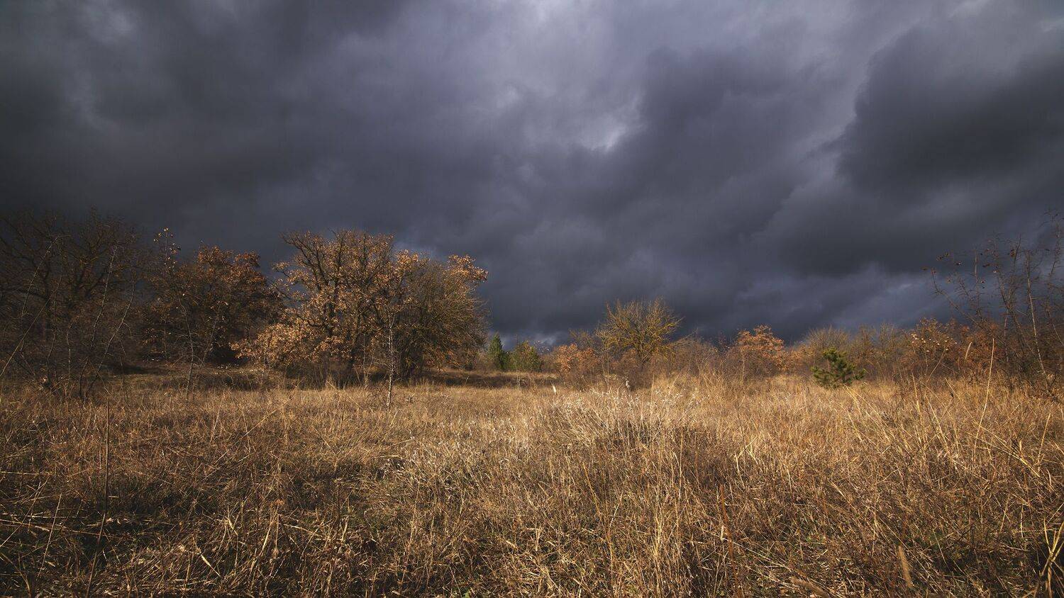 , Черкасов Сергей