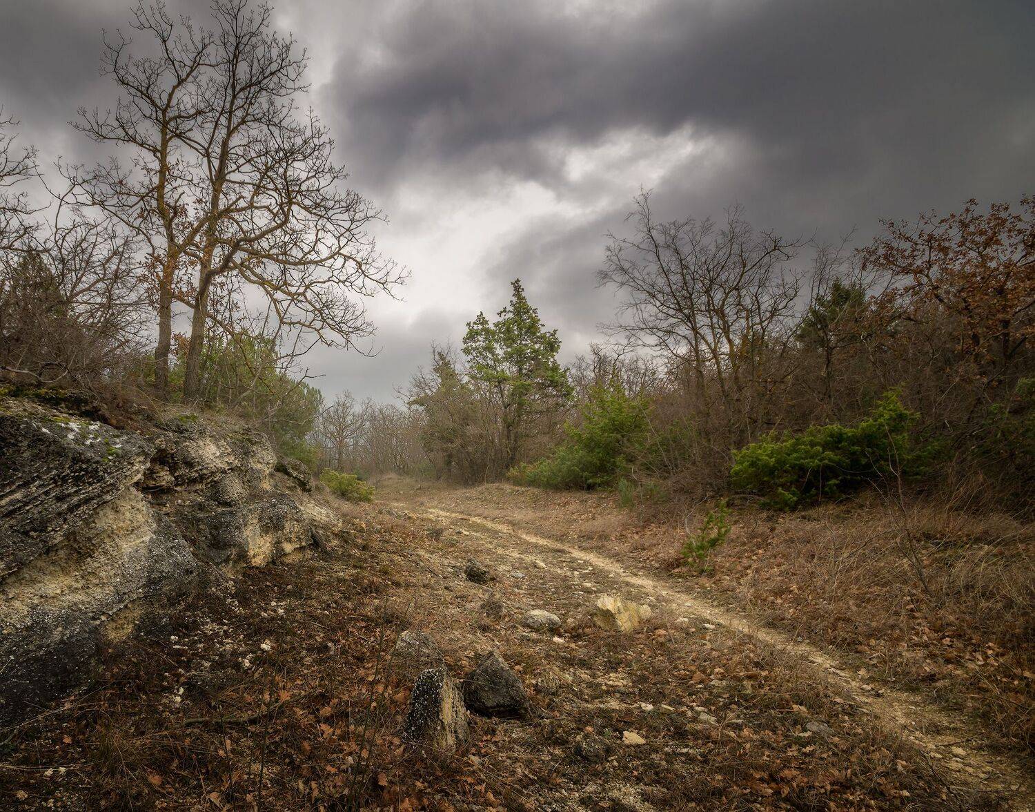 , Черкасов Сергей