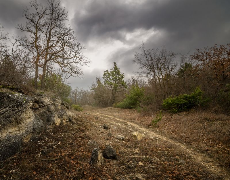 *** фото превью