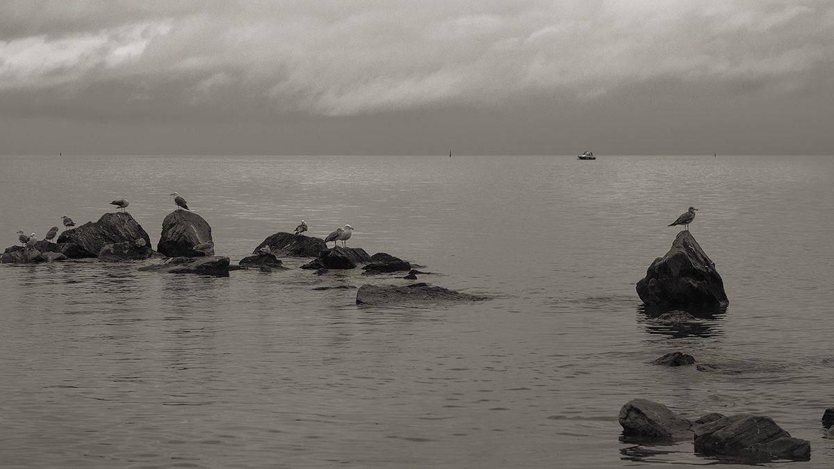 , Тришин Виктор