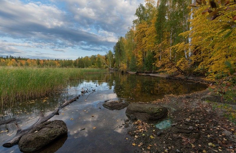 *** фото превью