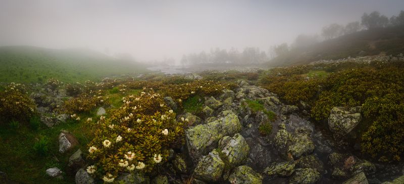 Туманный Орлёнок фото превью