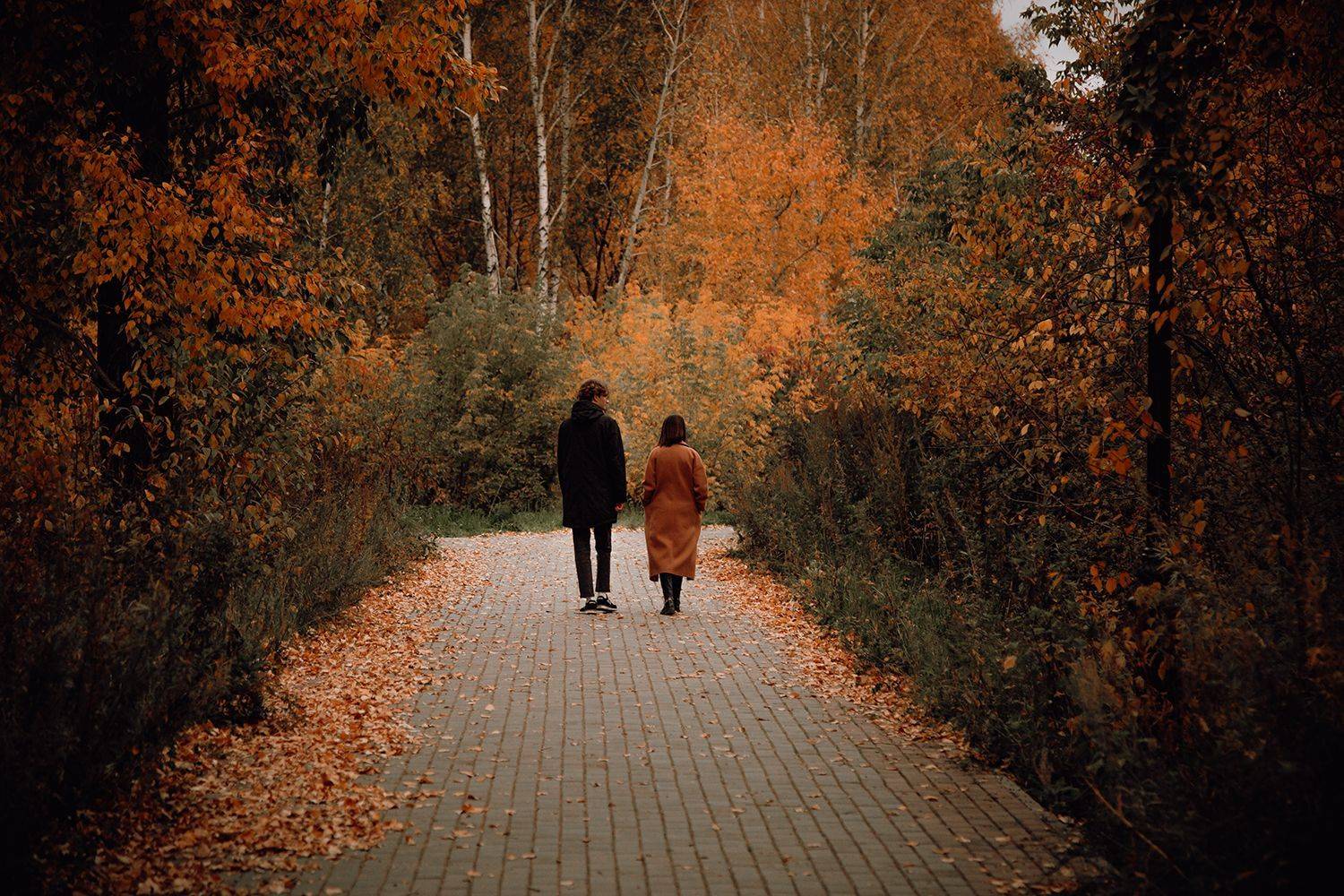 , Дмитрий Рудаков