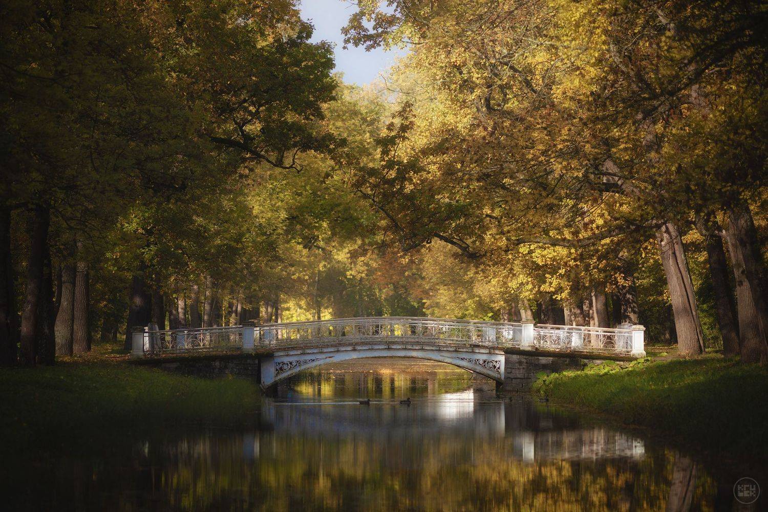 пушкин, осень, парк, KrubeK