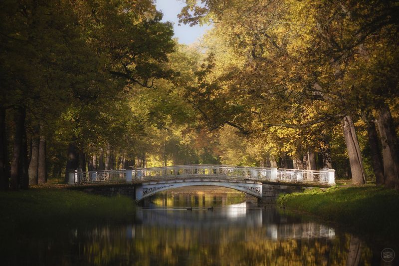 пушкин, осень, парк Октябрь в Александровском парке фото превью