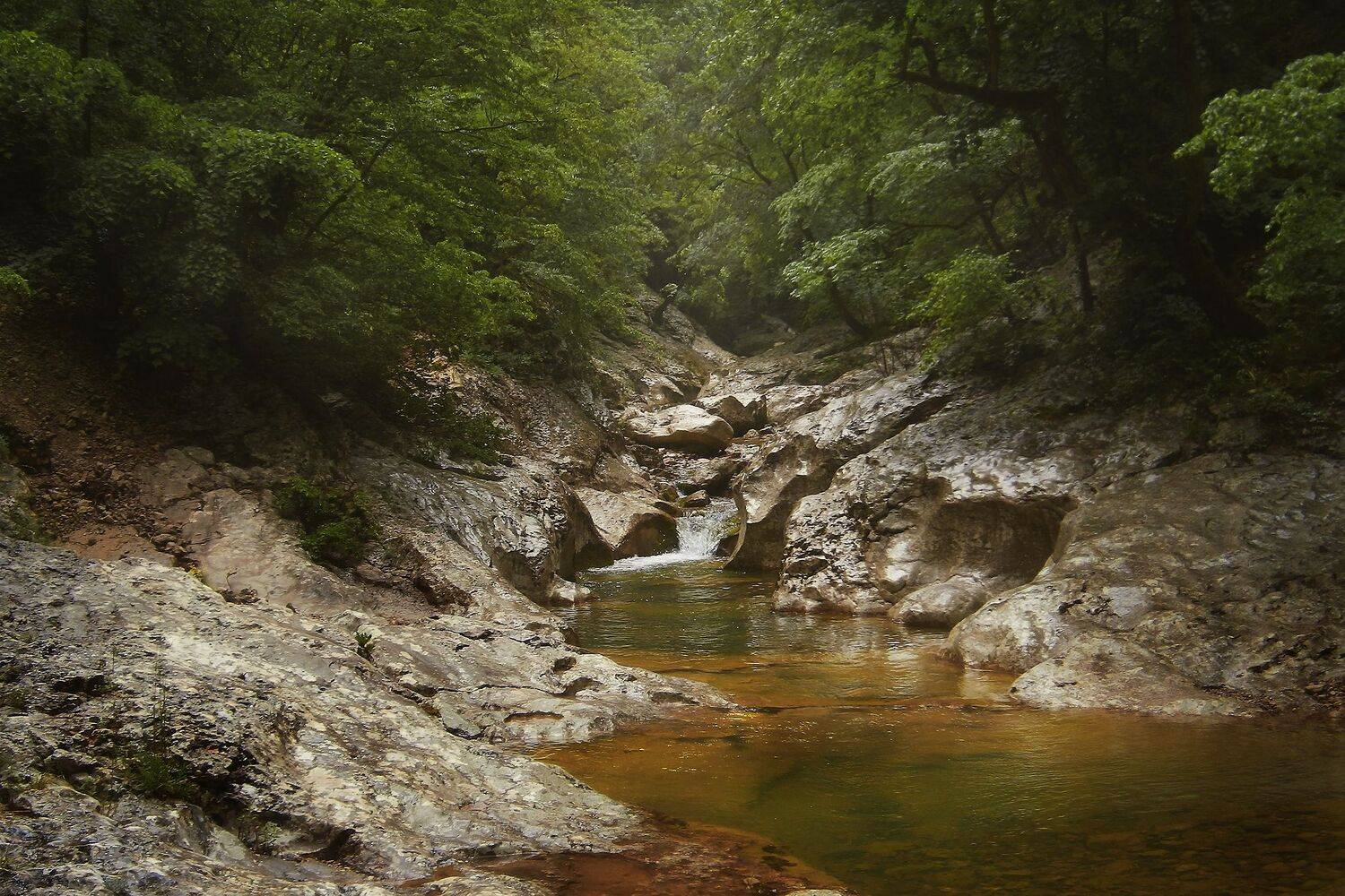 крым, река, пейзаж,, Черкасов Сергей