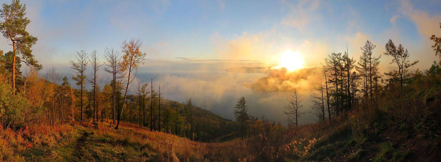 , Добролюбова Тамара