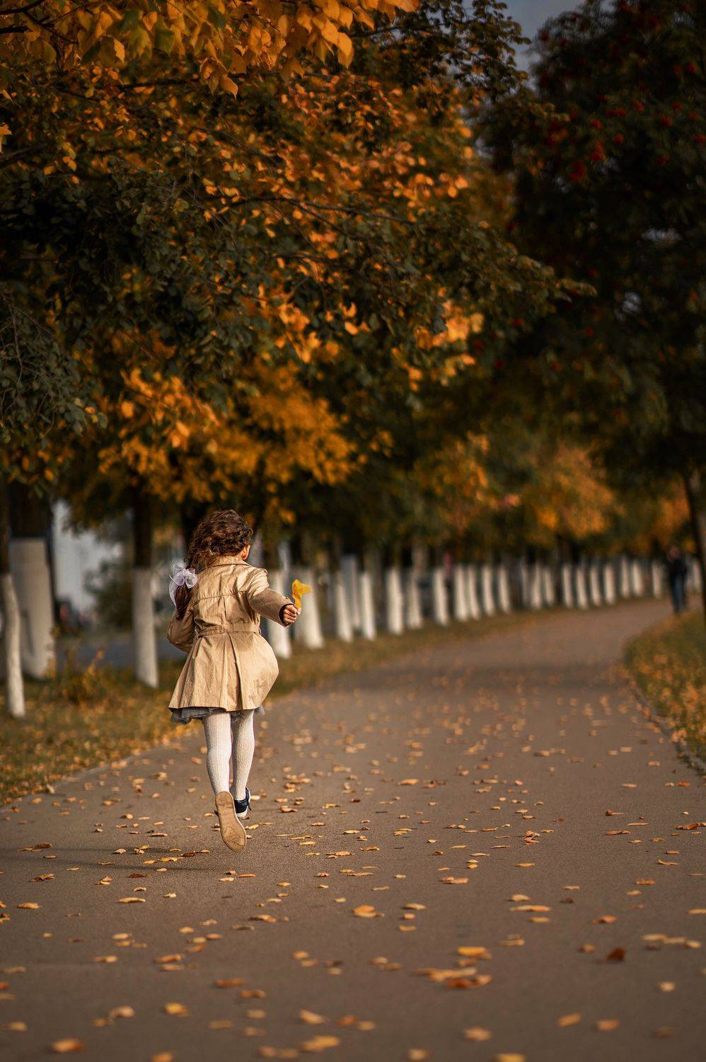 , Ольга Крестьянинова