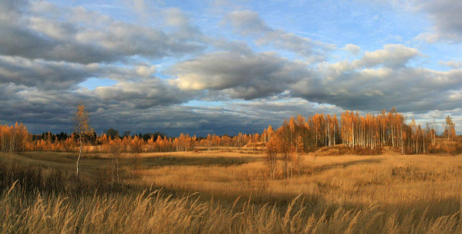 осень , Александр Свистков