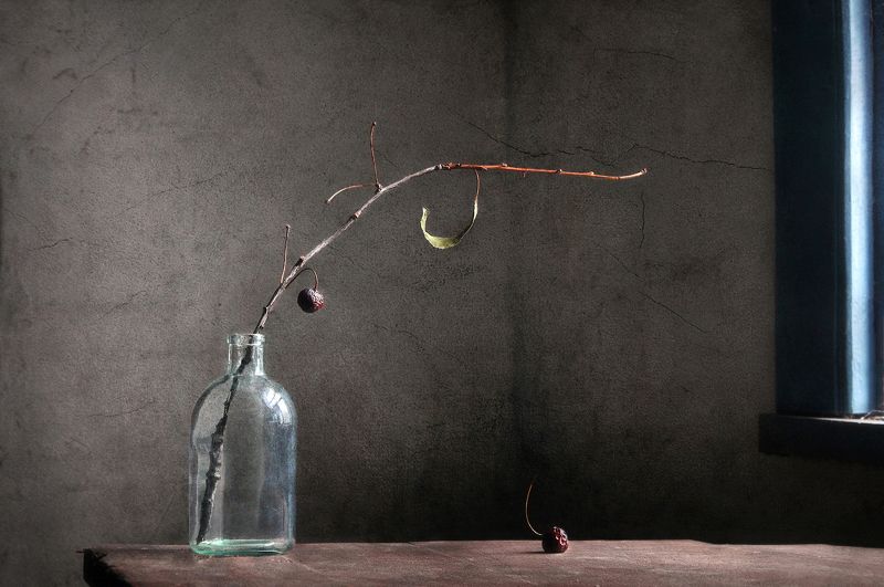 натюрморт, минимализм, still life, minimalistic, настроение, межсезонье Предзимье фото превью