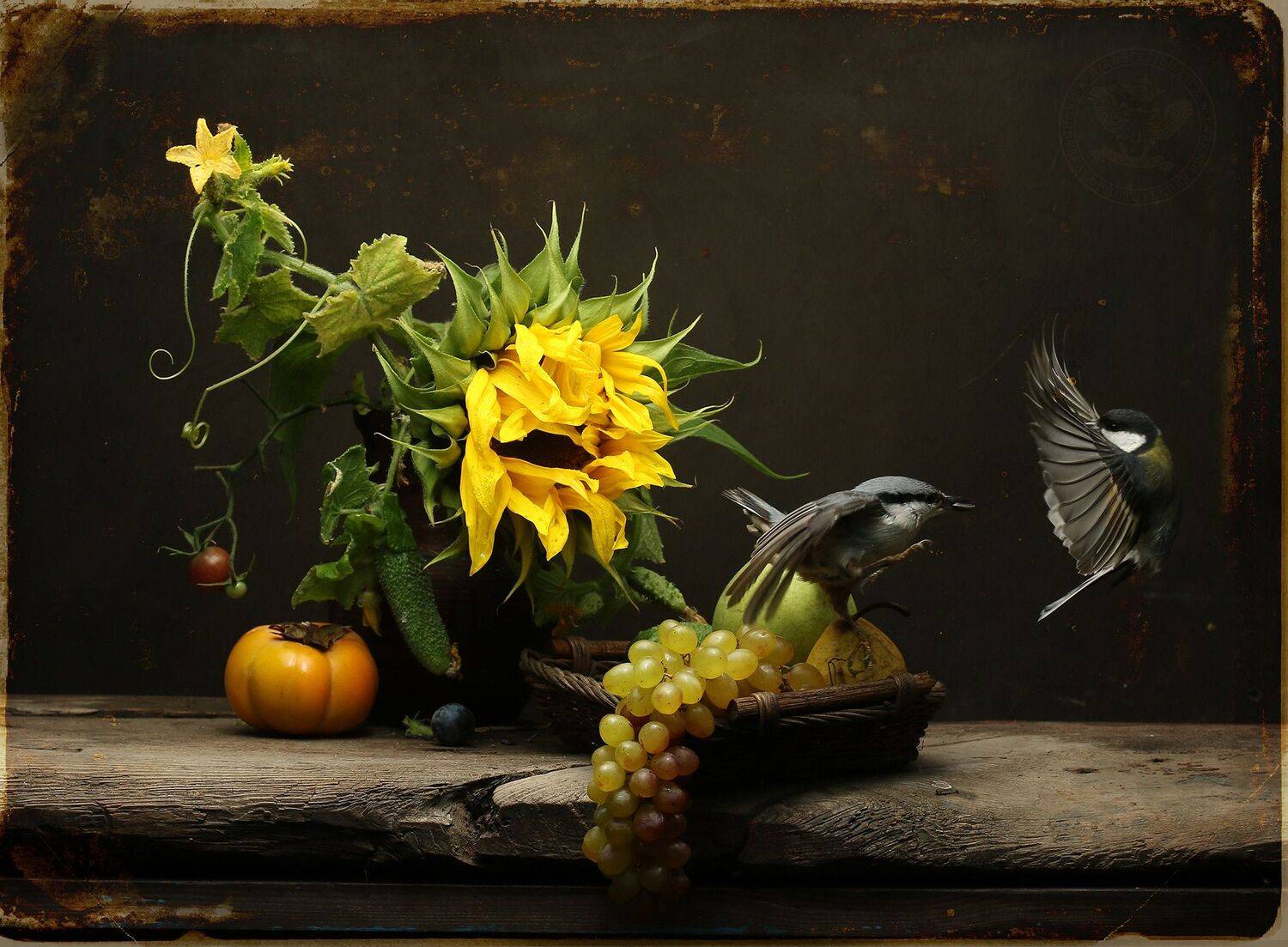 поползень, Хромушин Олег