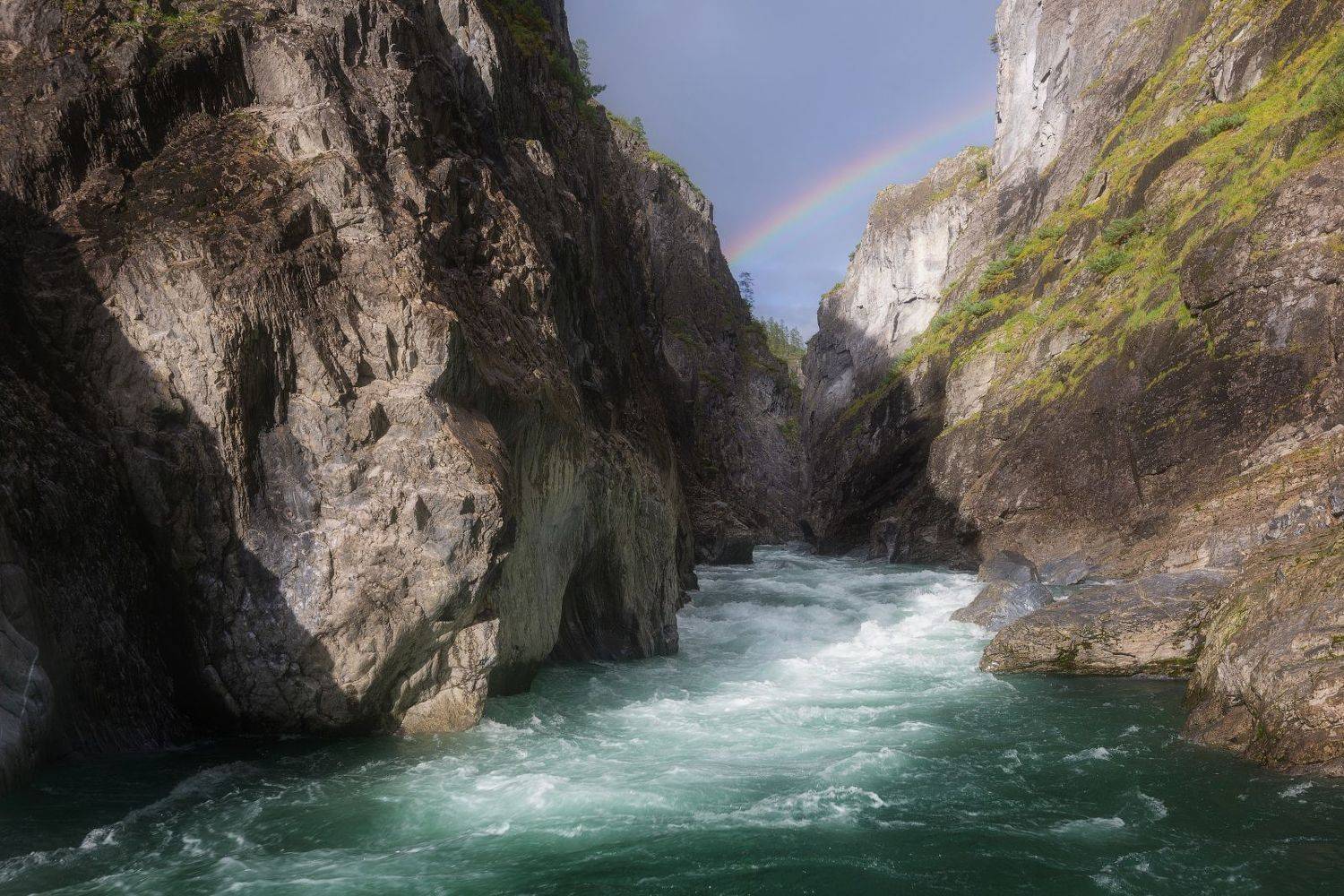 , Павел Глушков