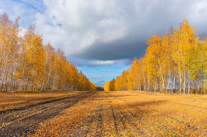 Октябрь уж наступил... фото превью