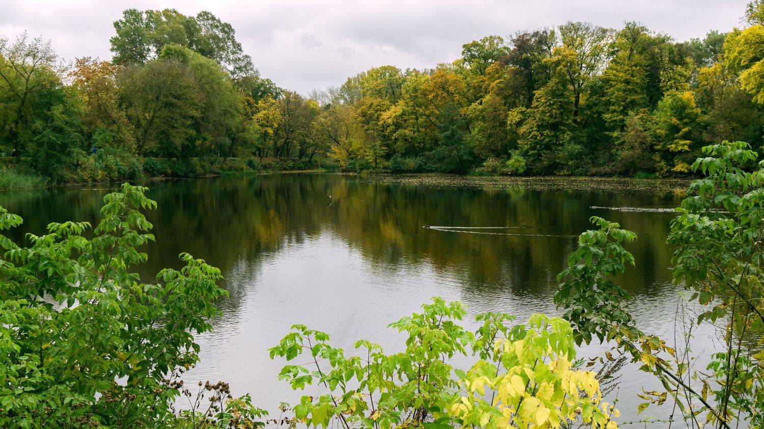 , Юрий Вертиков