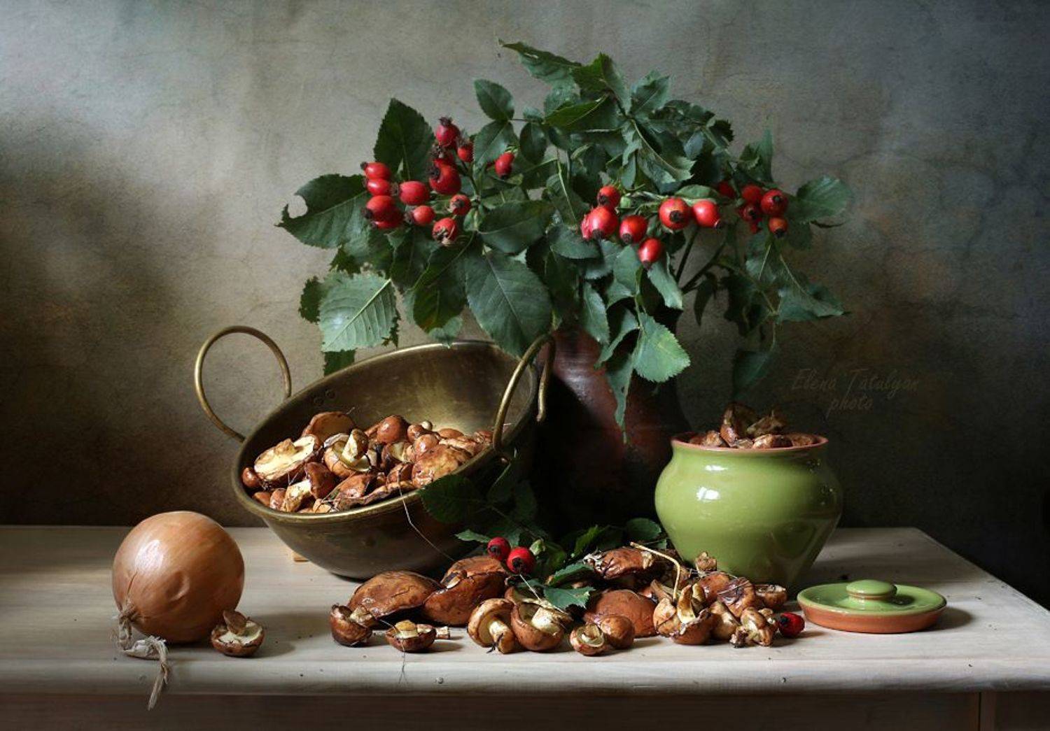 маслята, грибы, ягоды, Елена Татульян