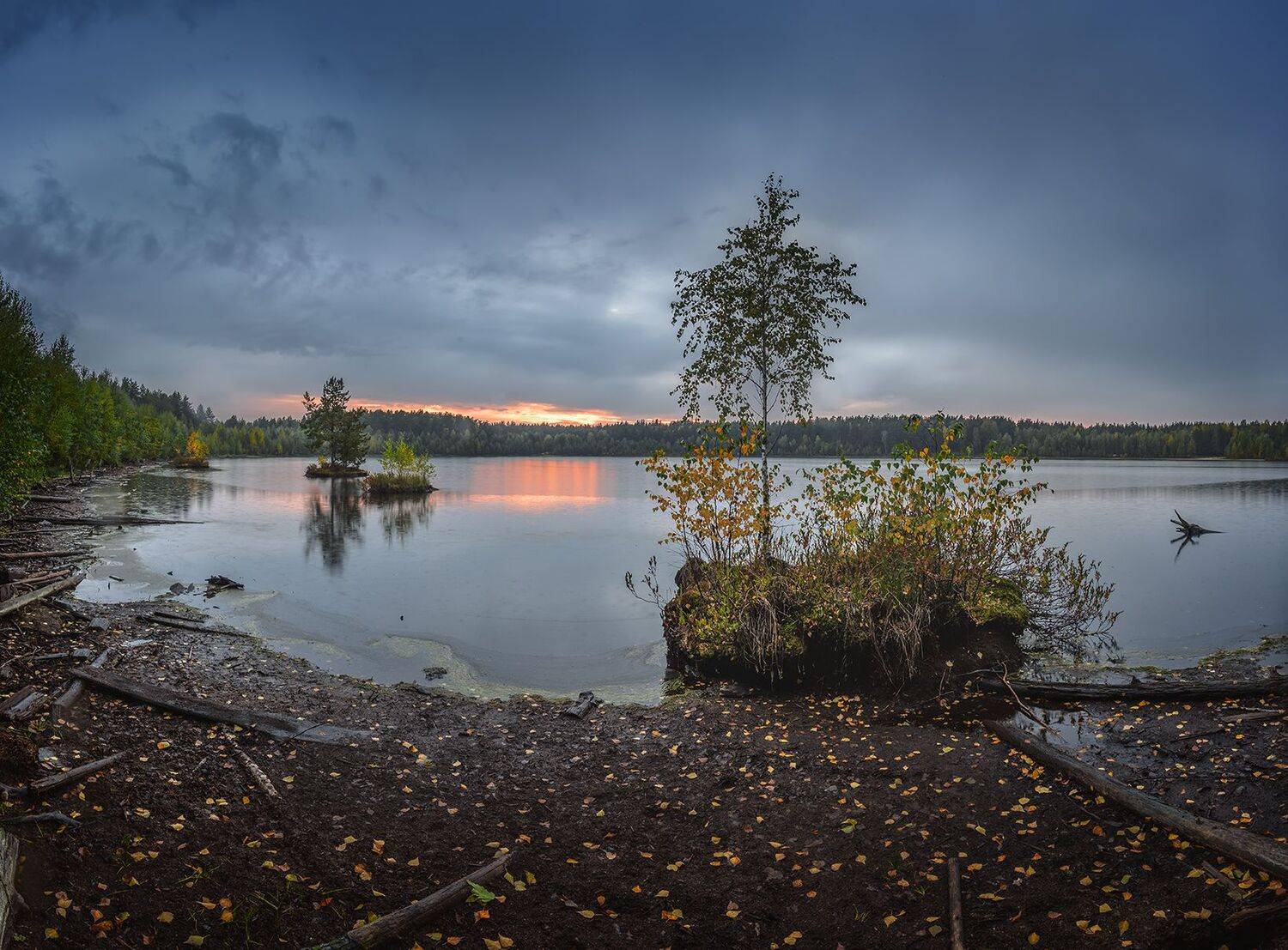 , Николай Андреев