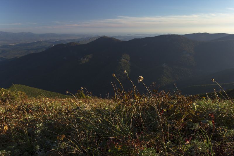 горы, утро  фото превью