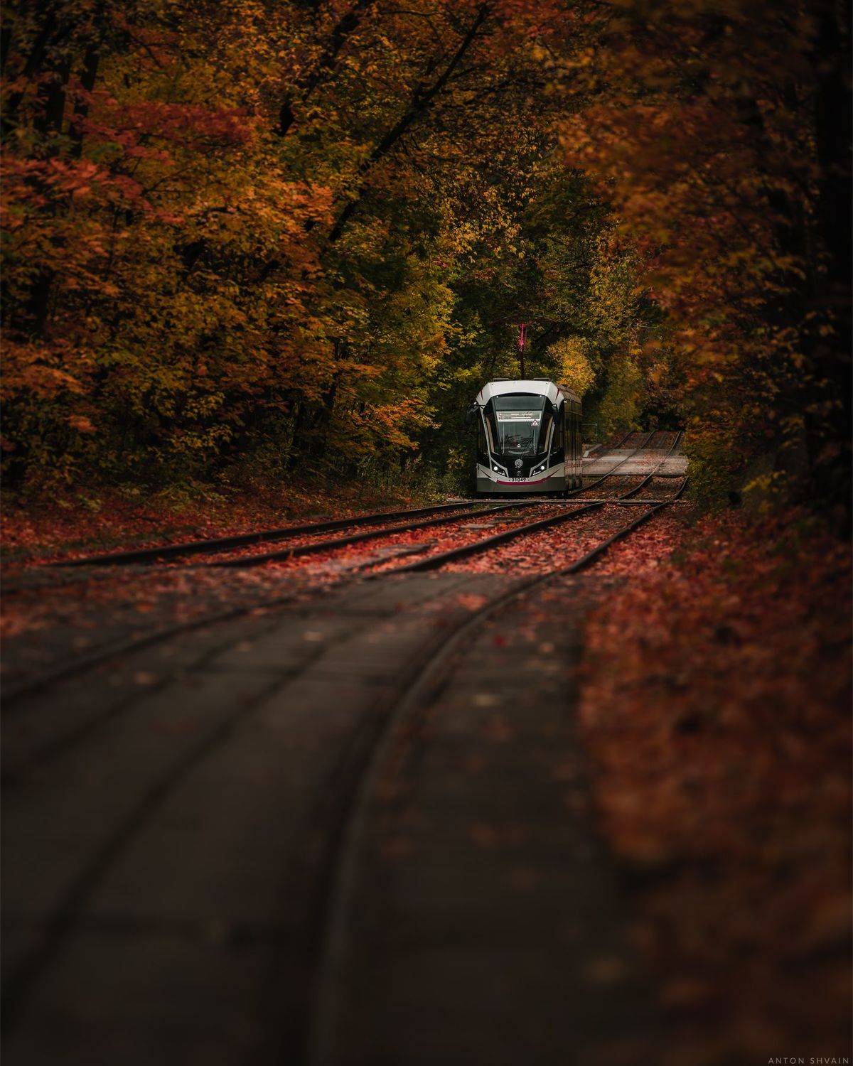 , Антон Шваин