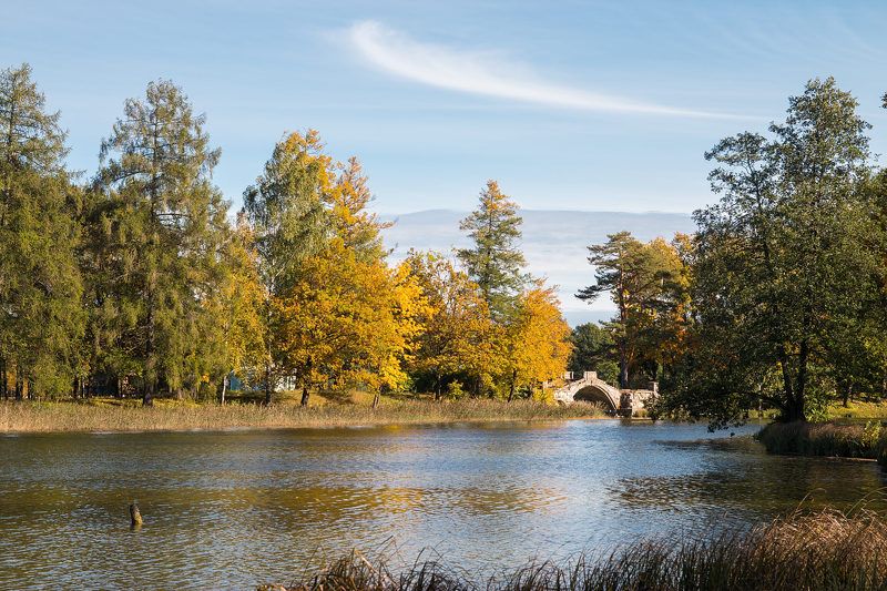 Осень в Гатчине фото превью
